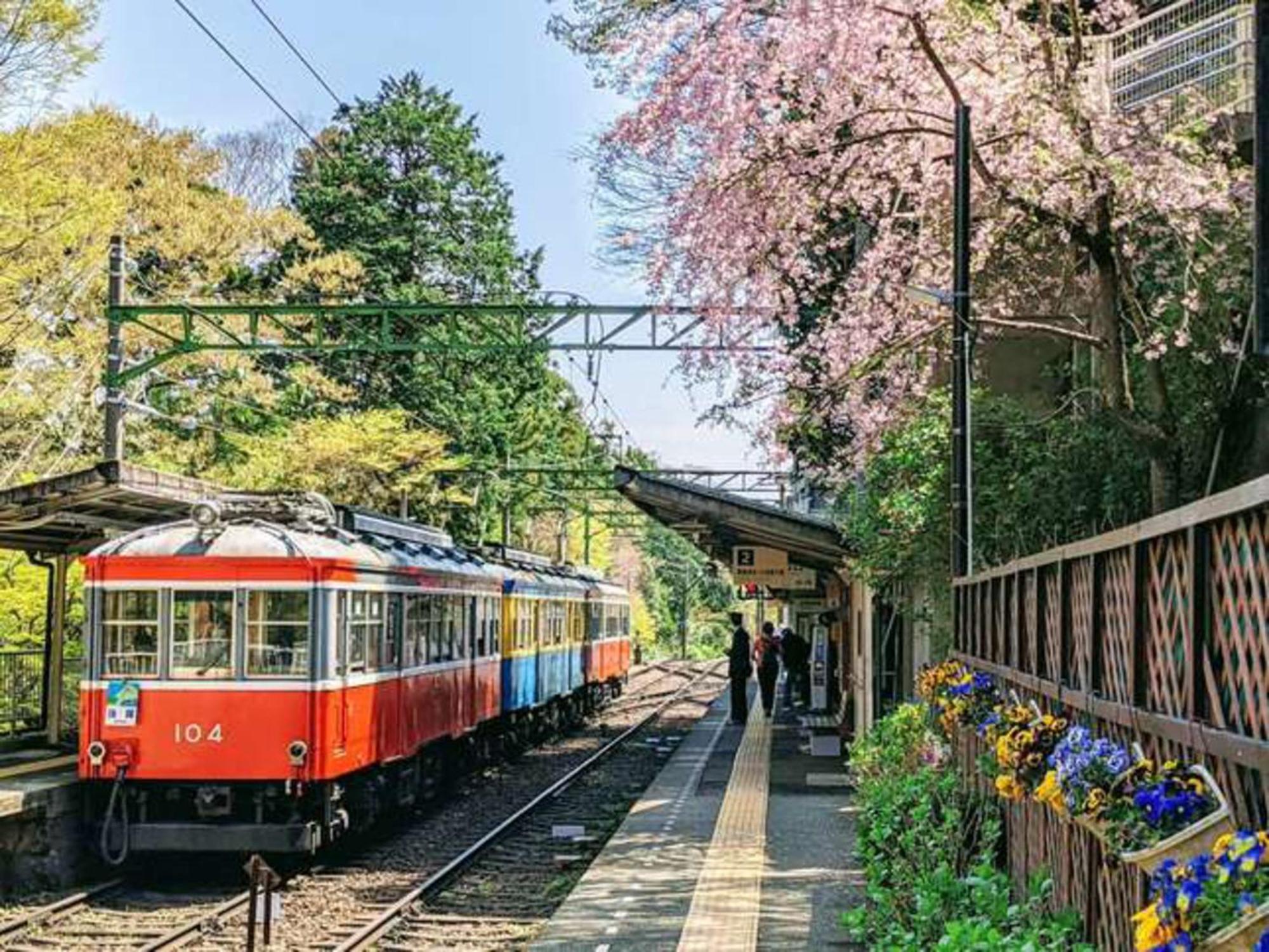 Hotel Morinokaze Hakone Sengokuhara Eksteriør billede