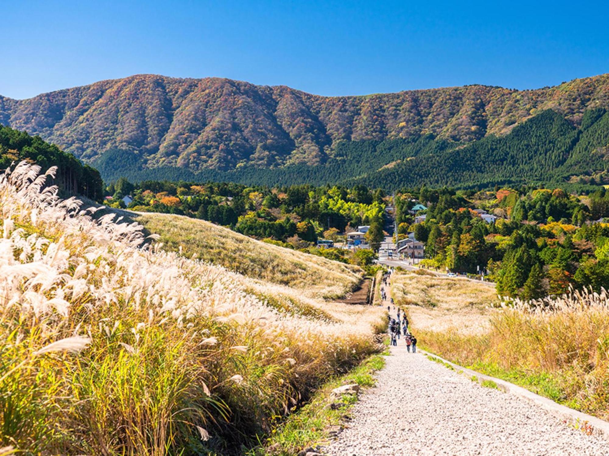 Hotel Morinokaze Hakone Sengokuhara Eksteriør billede